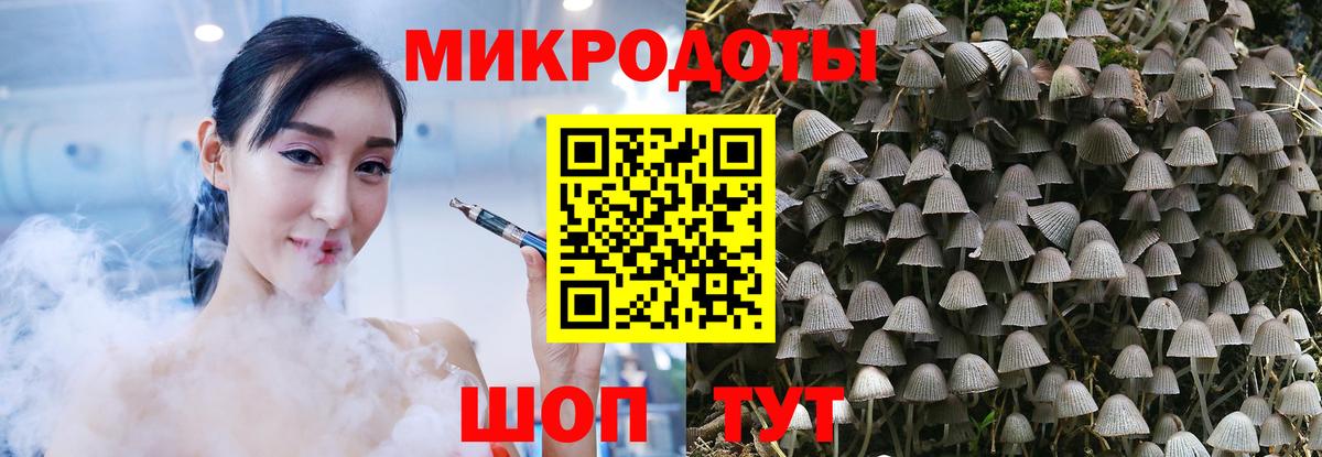 Галлюциногенные грибы MAGIC MUSHROOMS  Вход с VPN  где продают   Балаково 